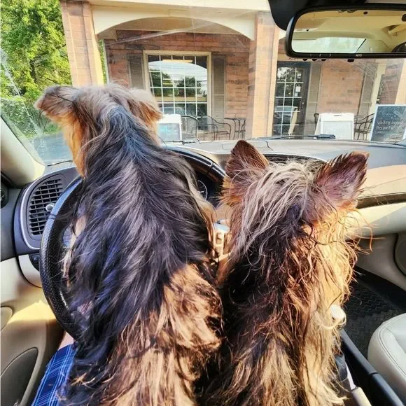 THIS BUS IS SOO FULL!⭐PLEASE LOAD THE NEXT 1 🌜SO FUN🌛 - Picture 10 of 10